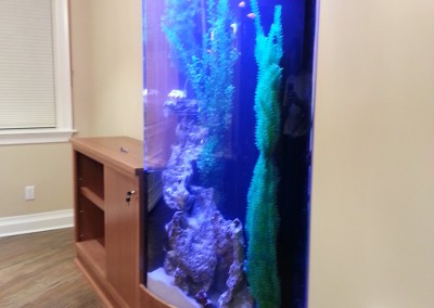 Custom acrylic aquarium