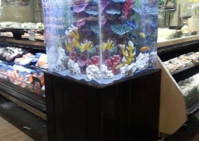 Custom acrylic aquarium(3)