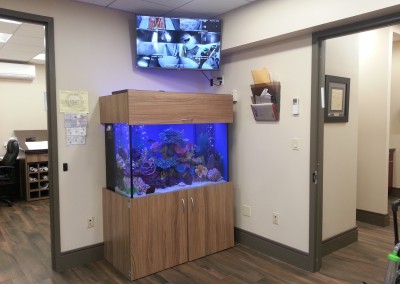 Office fish tank aquarium