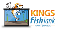 Kings Fish Tank